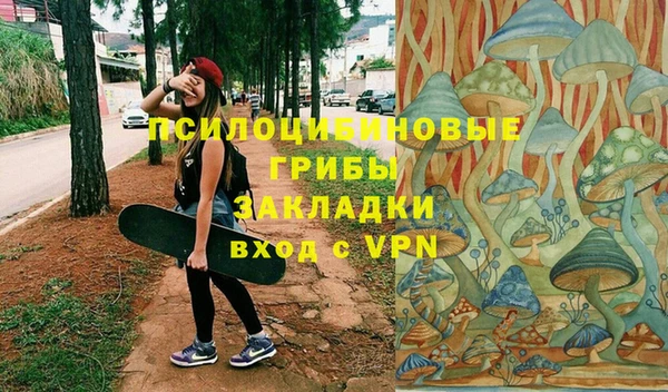 2c-b Верхнеуральск